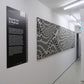 Tides of Structure - Klara Vanzella Yang