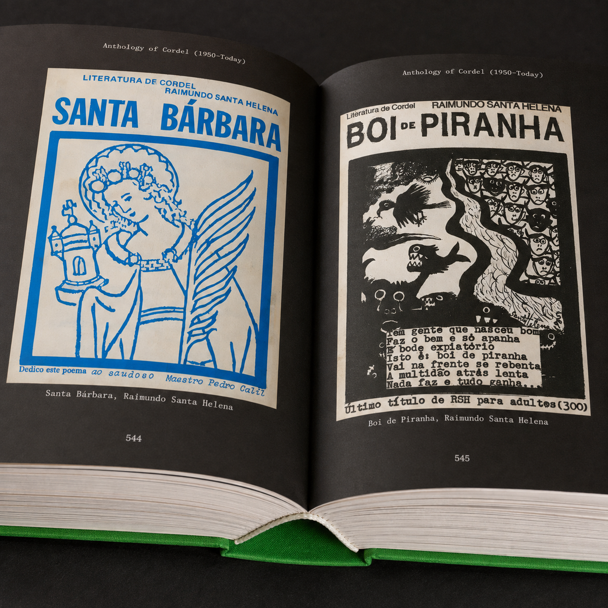 Visual Culture of Northeast Brazil
