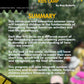 Eco Film Summer Camp by Blue Butterfly